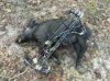 ImageUploadedByBowhunting.com Forums1475500511.419970.jpg