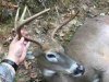 ImageUploadedByBowhunting.com Forums1475525889.787263.jpg