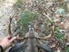 ImageUploadedByBowhunting.com Forums1475526423.134458.jpg
