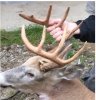 11pt01.jpg
