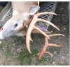 11pt02.jpg