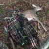 ImageUploadedByBowhunting.com Forums1476147905.956321.jpg