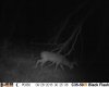 HUNT0350.jpg