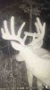 ImageUploadedByBowhunting.com Forums1476408682.514975.jpg