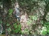 IMAG0158.jpg