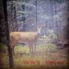 ImageUploadedByBowhunting.com Forums1476621015.820194.jpg