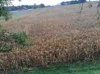 ImageUploadedByBowhunting.com Forums1476652402.105827.jpg
