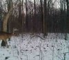 ImageUploadedByBowhunting.com Forums1477085020.861067.jpg