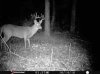 ImageUploadedByBowhunting.com Forums1477271688.620434.jpg