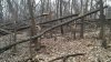 IMG_20150407_134840_335.jpg