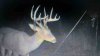 ImageUploadedByBowhunting.com Forums1477859181.764702.jpg