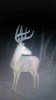 ImageUploadedByBowhunting.com Forums1477859194.306300.jpg