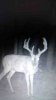 ImageUploadedByBowhunting.com Forums1477859206.044249.jpg