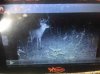 ImageUploadedByBowhunting.com Forums1477876272.650801.jpg