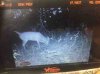 ImageUploadedByBowhunting.com Forums1477876294.029112.jpg