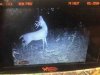 ImageUploadedByBowhunting.com Forums1477876305.427056.jpg