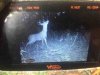 ImageUploadedByBowhunting.com Forums1477876321.751855.jpg