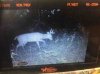 ImageUploadedByBowhunting.com Forums1477876330.695964.jpg