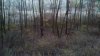 ImageUploadedByBowhunting.com Forums1478015750.978670.jpg