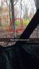 ImageUploadedByBowhunting.com Forums1478015841.077532.jpg