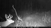 ImageUploadedByBowhunting.com Forums1478489834.126048.jpg