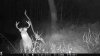 ImageUploadedByBowhunting.com Forums1478489859.438937.jpg