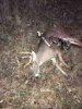 ImageUploadedByBowhunting.com Forums1479074511.843934.jpg