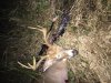 10-13-16 buck.jpg