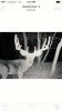 Trailcam 2016 MW C9.jpg