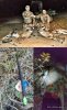 deer collage.jpg