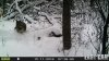 HUNT0068.jpg