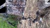 20160506_064455.jpg