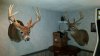 20170318_155520.jpg