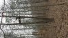 20170330_124556.jpg
