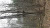 20170330_132526.jpg