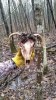 20170324_105941.jpg