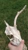 IMG_20170411_160152223_HDR.jpg