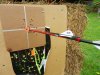 DSCN0767.JPG