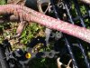 20170417_112506.jpg