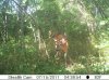 buck3.jpg