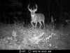 MDGC0053.jpg