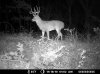 MDGC0148.jpg