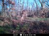 MDGC0924.jpg