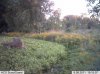 nice8912 002.jpg