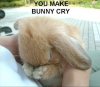 funny-pictures-bunny-is-sad.jpg