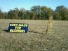 corn maze for blondes.jpg
