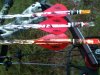 Arrows.jpg