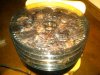 deer jerky.jpg