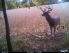 Cdy00037.JPG