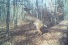 Day Time Towers North Thicket.AVI_000001999.jpg